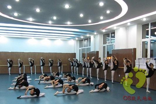 艺萱舞蹈培训学校舞蹈室地板案例