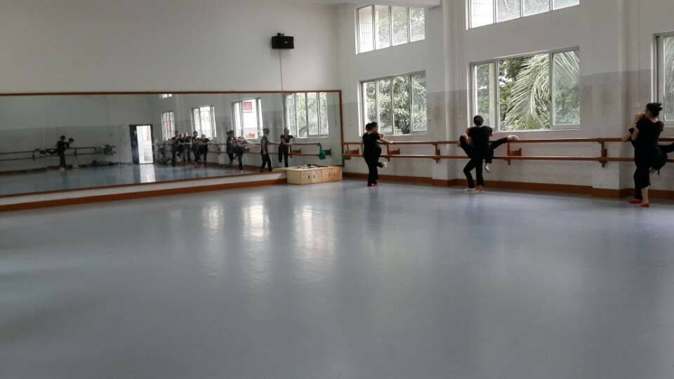广西师范学院舞蹈地板胶铺设工程