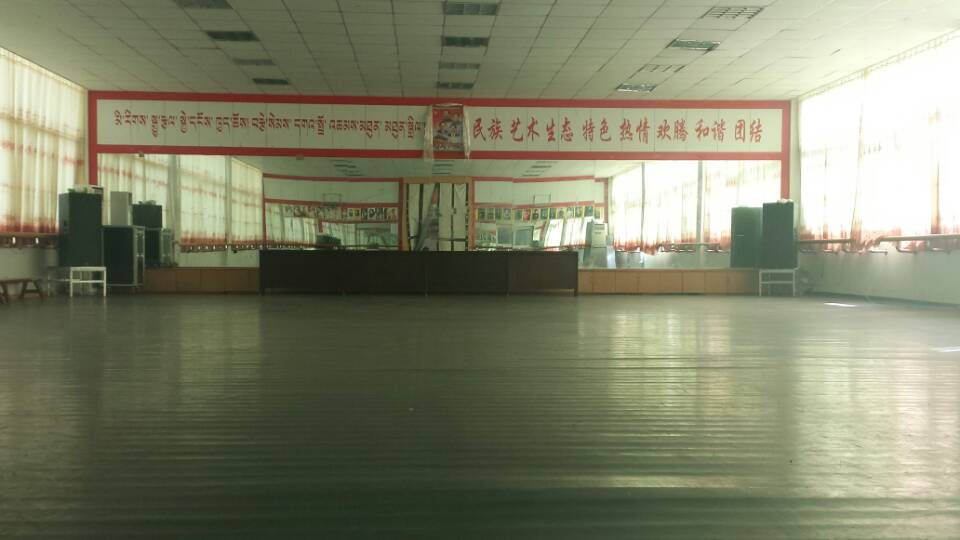 西藏昌都地区民族歌舞团舞蹈室地板案例