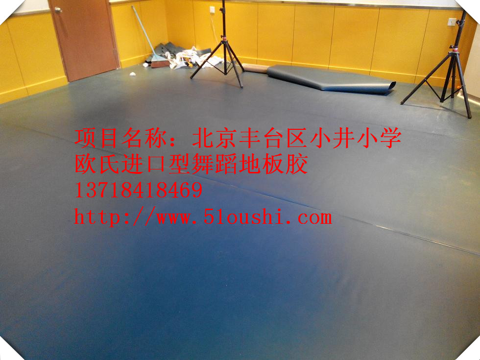北京光明外语学校舞蹈教室地胶装修效果图