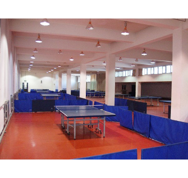 乒乓球地板规格及建设要求