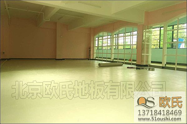 广东清远舞蹈室地胶--佛冈县虫儿飞艺术培训中心