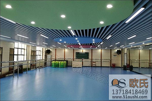 深圳市舞蹈地胶--龙华区中心小学舞蹈室成功案例